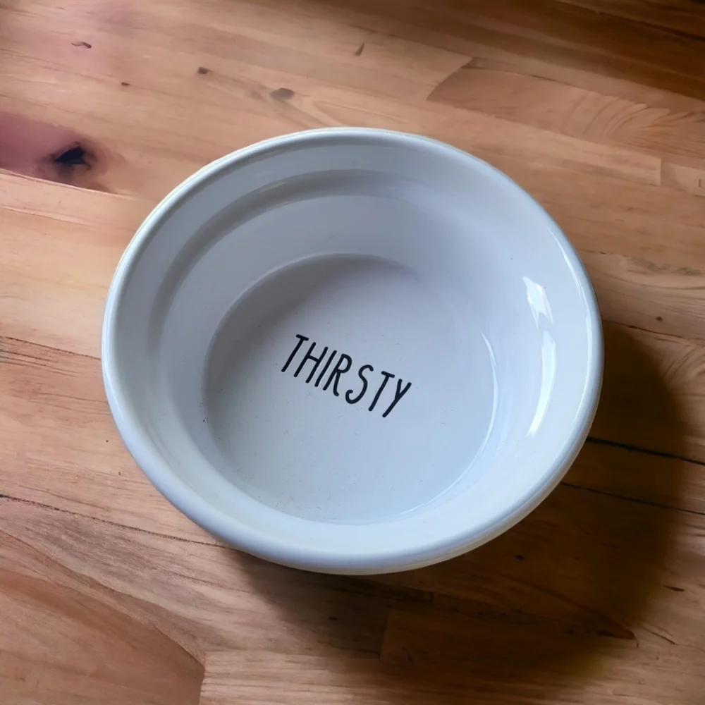 Pet food bowls Small Set of 2